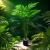 Succulent plant mini bonsai, succulent potted plants, indoor green plants, decorative ornamental potted plants, gardening supplies details Picture